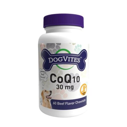 CoQ10 For Dogs