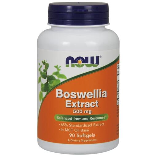 NOW Foods - Boswellia Extract 90 softgels