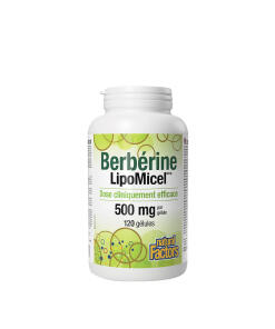 Natural Factors - Berberín LipoMicel Matrix od Natural Factors (120 mäkkých kapsúl)