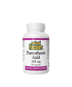 Natural Factors - Kyselina pantoténová 250 mg (90 kapsúl)
