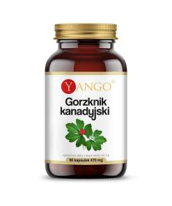 Yango - Zlatobyľ obyčajná (90 kapsúl)