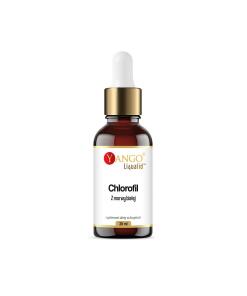 Yango - YANGO Biela moruša chlorofyl v kvapkách (30 ml)