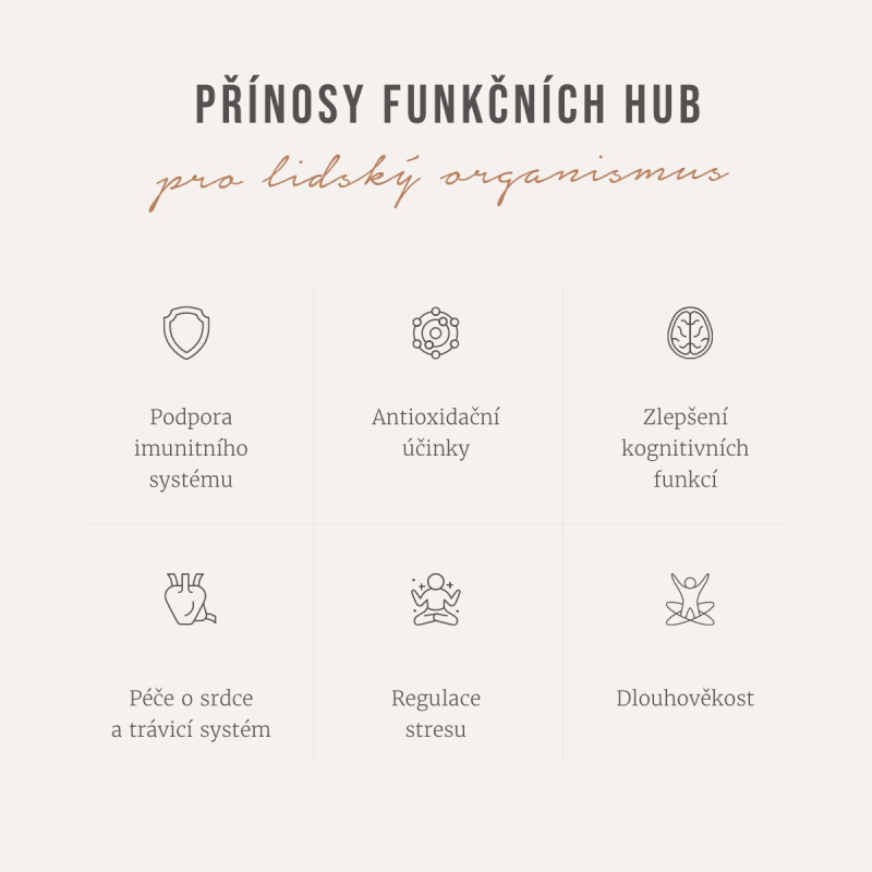 Four Sigmatic - Ashwagandha & Chaga Adaptogénna zmes mletej kávy Organic, prášok – Obrázok 3