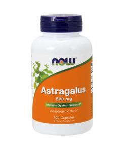 Astragalus, 500 mg - 100 kapsúl