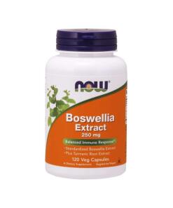 Extrakt z boswélie plus extrakt z kurkumy, 250 mg - 120 vegánskych kapsúl