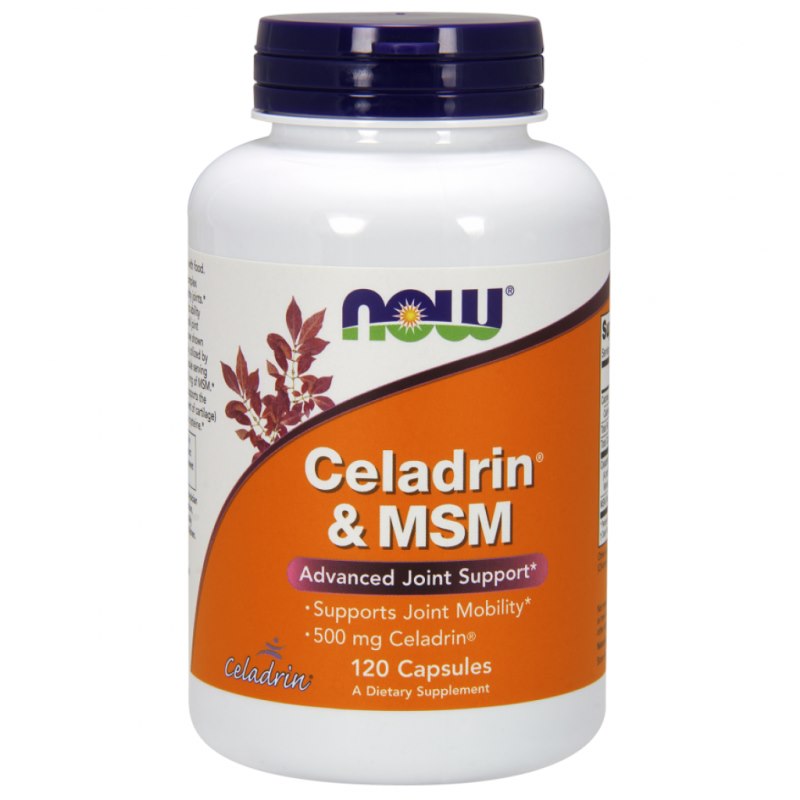 Celadrin & MSM, 500 mg - 120 kapsúl