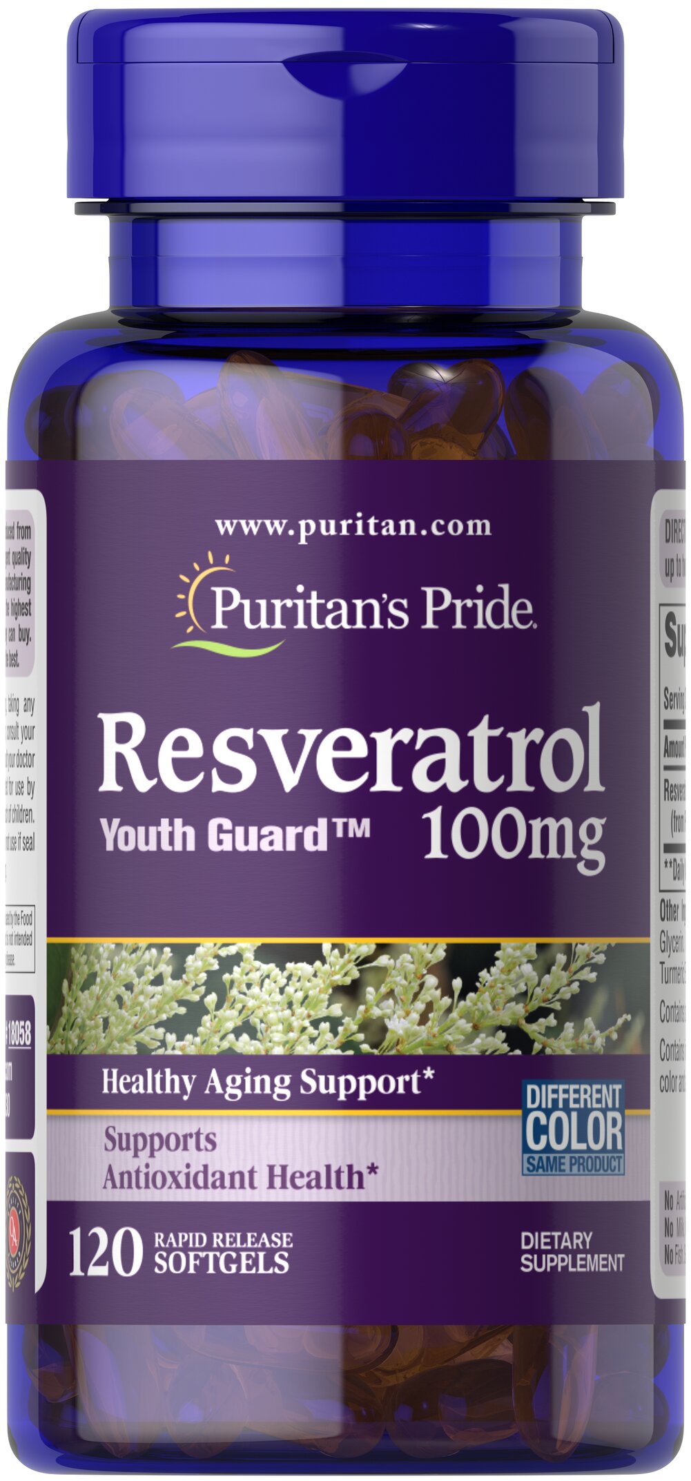 Puritan's Pride - Resveratrol, 100 mg - 120 mäkkých želatínových kapsúl