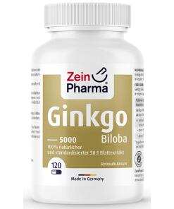 Ginkgo Biloba 5000, 100 mg - 120 kapsúl