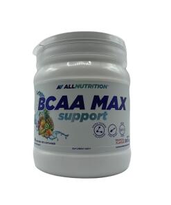 BCAA Max podpora - 500 gramov