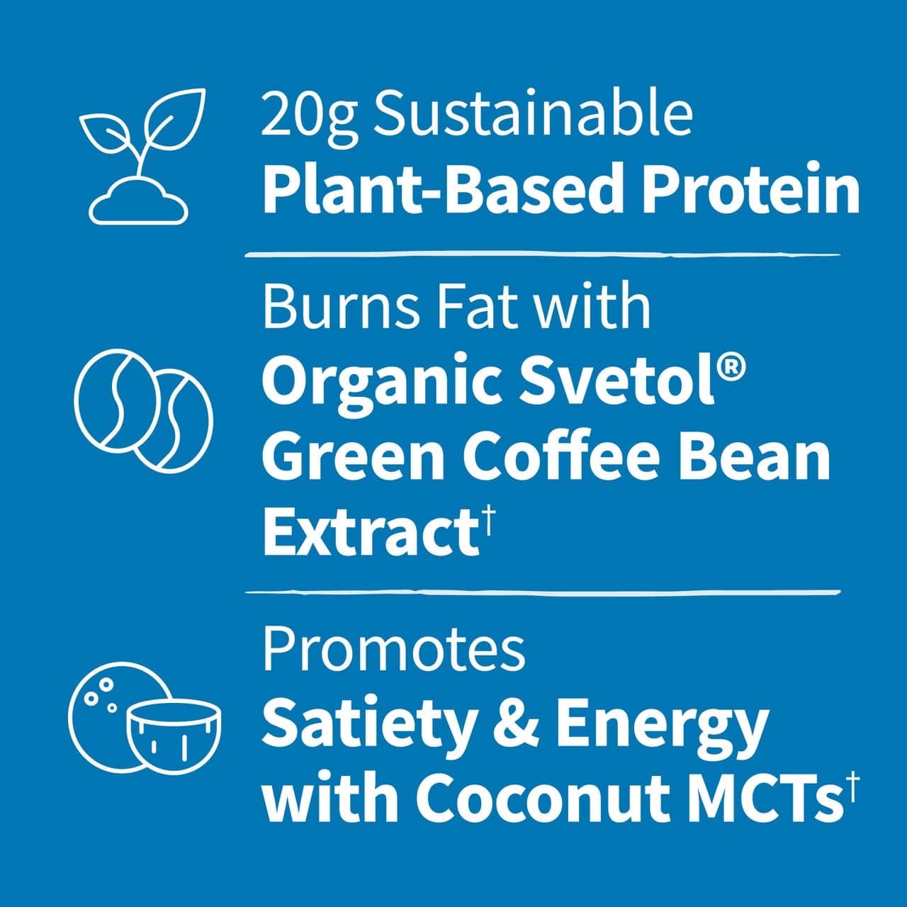 Dr. Formulated MD Protein FIT Udržateľný rastlinný prášok, bohatý na čokoládu - 635g – Obrázok 5