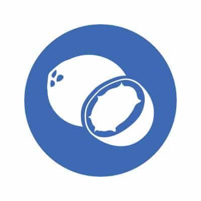 Dr. Formulated MD Protein FIT Udržateľný rastlinný prášok, bohatý na čokoládu - 635g – Obrázok 7