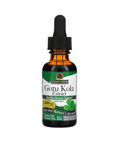 Extrakt z Gotu Koly - 30 ml