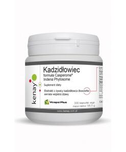 Kenay - KENAY Boswellia Casperome Indena Phytosome (300 caps)