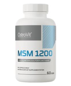 OstroVit - OstroVit MSM 1200 (60 kapsúl)