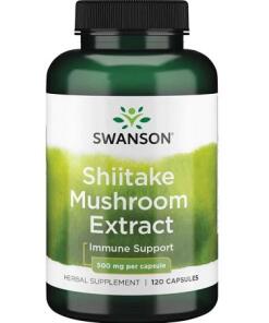 Shiitake hubový extrakt, 500 mg - 120 kapsúl