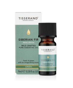 Tisserand Aromatherapy - TISSERAND AROMATHERAPY Sibírska jedľa Abies Sibirica Wild Crafted (9 ml / 0,3 fl. oz.)