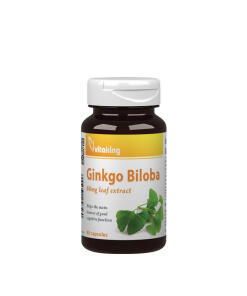 Vitaking - Vitaking výťažok z listov ginkgo biloba 60 mg (90 kapsúl)