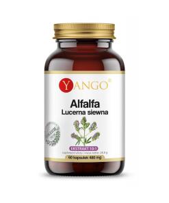 Yango - YANGO Lucerna (60 kapsúl)