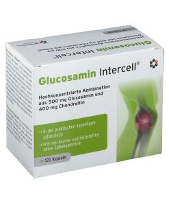 Intercell Pharma - INTERCELL PHARMA Glucosamin-Intercell (120 caps)
