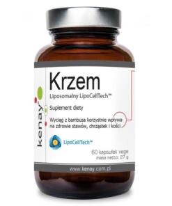 Kenay - KENAY LipoCellTech liposomal silicon (60 caps)