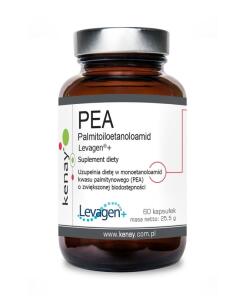 Kenay - KENAY PEA Palmitoiloetanoloamide Levagen+ 350 mg (60 caps)