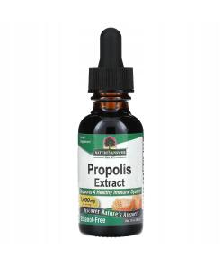 Nature's Answer - NATURE'S ANSWER Propolis Extract (30 ml / 1 fl. oz.)