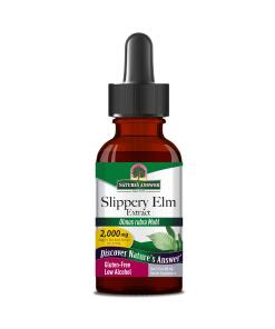 Nature's Answer - NATURE'S ANSWER Slippery Elm Extract (60 ml / 2 fl. oz.)