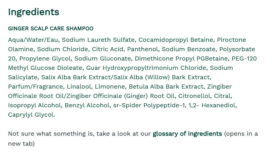 The Body Shop - Šampón na starostlivosť o pokožku hlavy s imelom Ginger Scalp Care (250 ml) – Obrázok 2